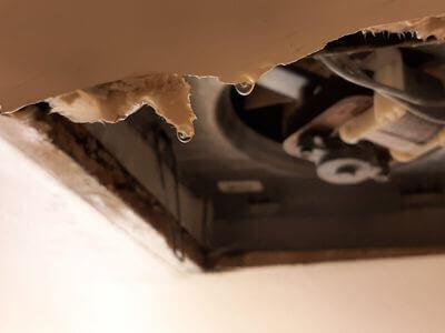 Professional emergency flood repair services in Wayland